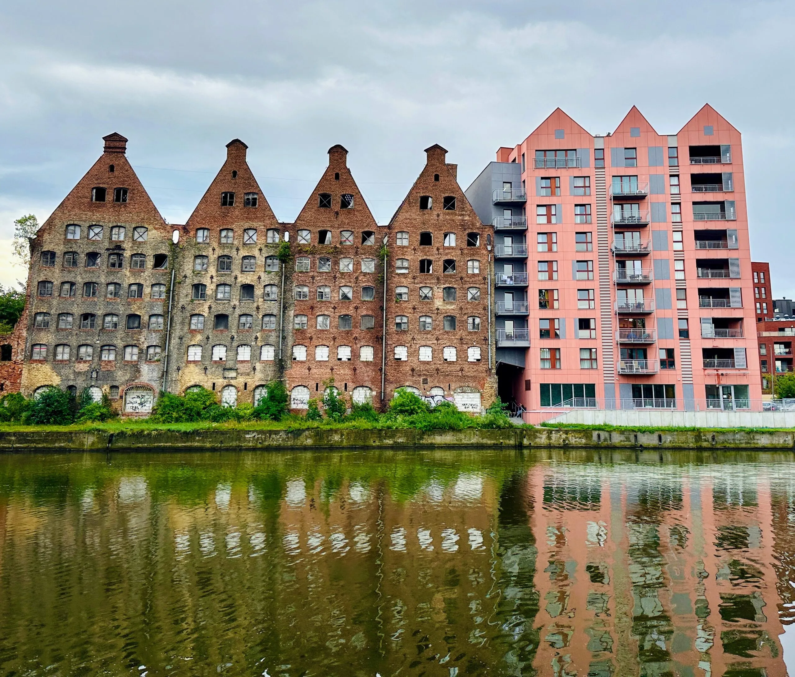 Four derelict brick granaries on Granary Island, windows empty and walls plant-grown, a new pink apartment block rising immediately beside them and reflected in the river