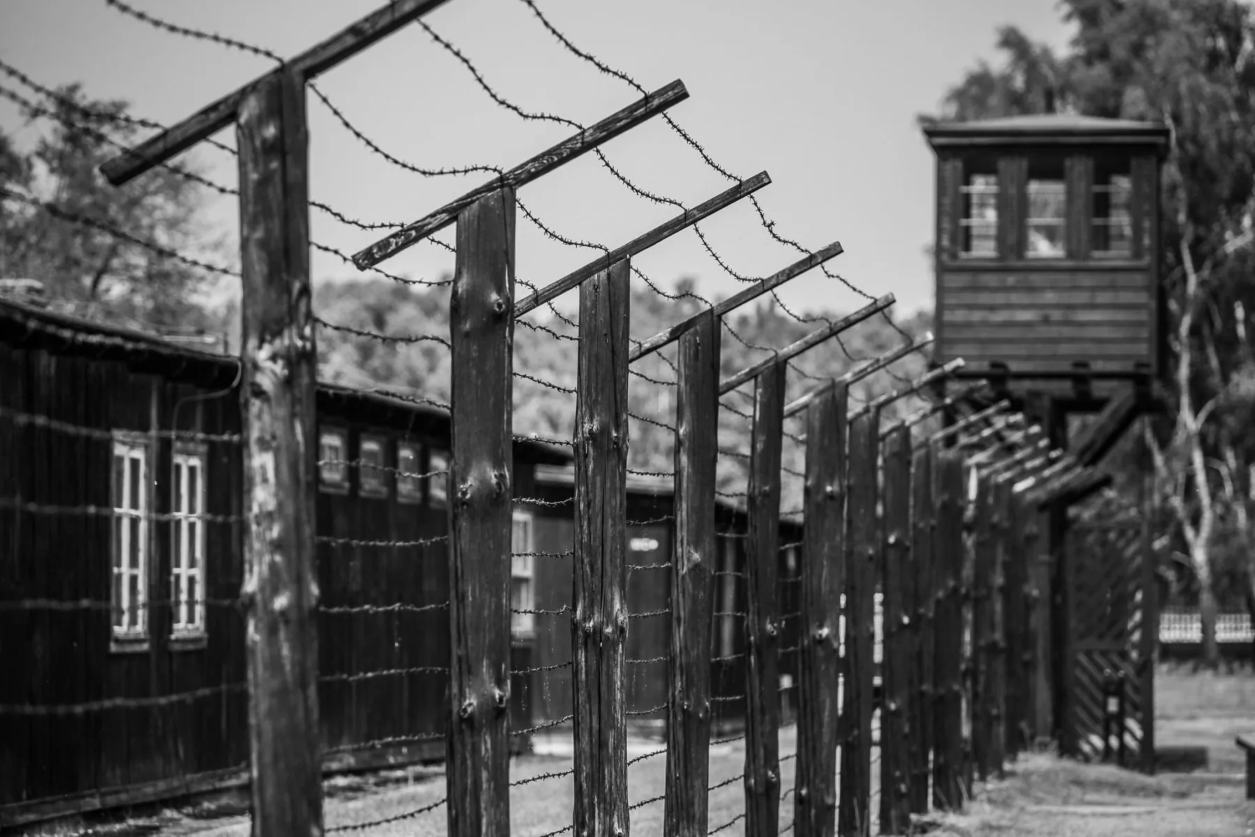 A black and white view of Stutthof concentration camp: barbed wire strung between wooden posts, timber barracks and a guard tower behind